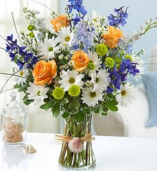 Summer Dunes Davis Floral Clayton Indiana from Davis Floral